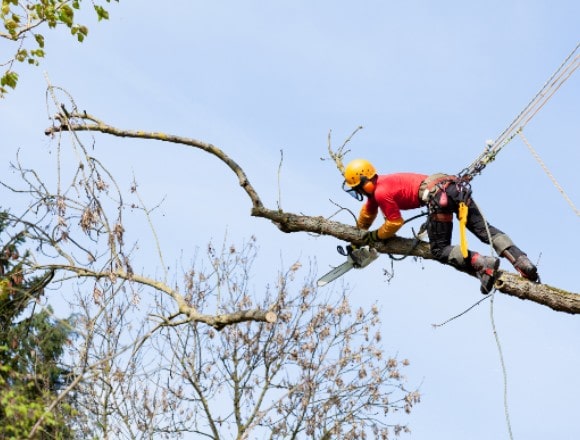 The rope designed for rescue purposes